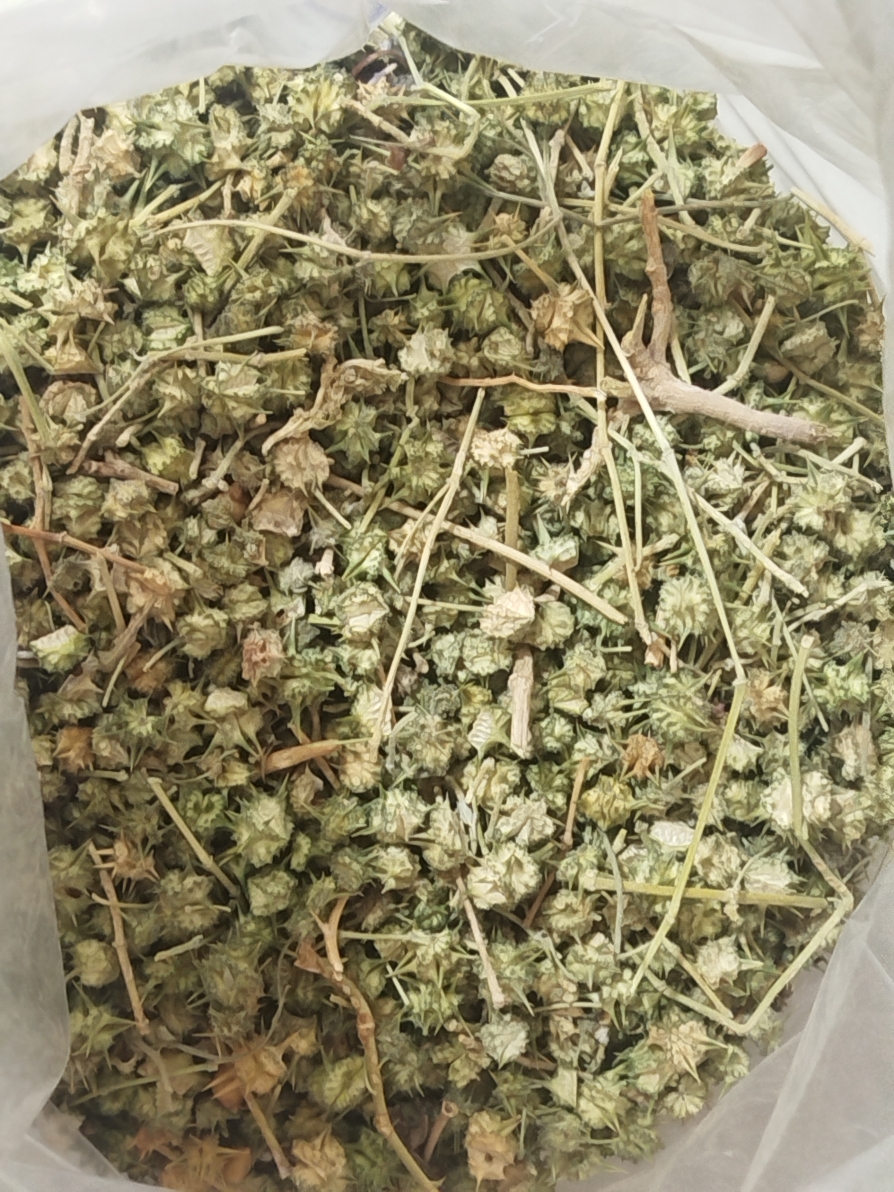 گل خارخاسک