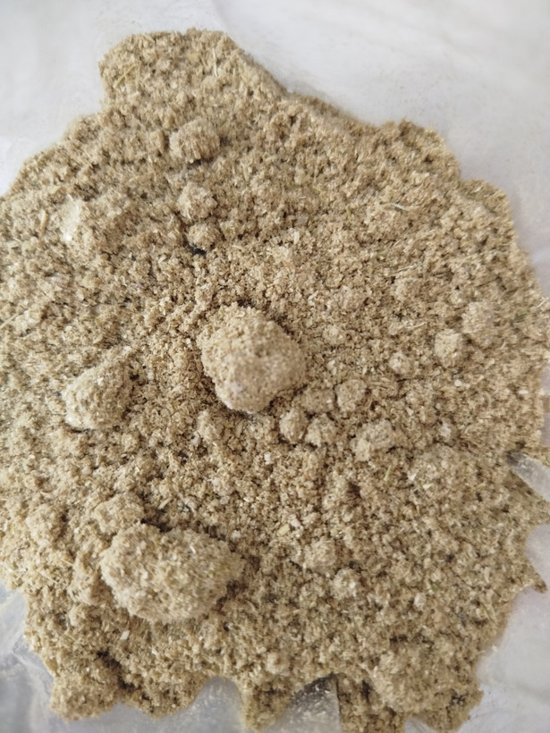 بذر (تخم) گشنیز