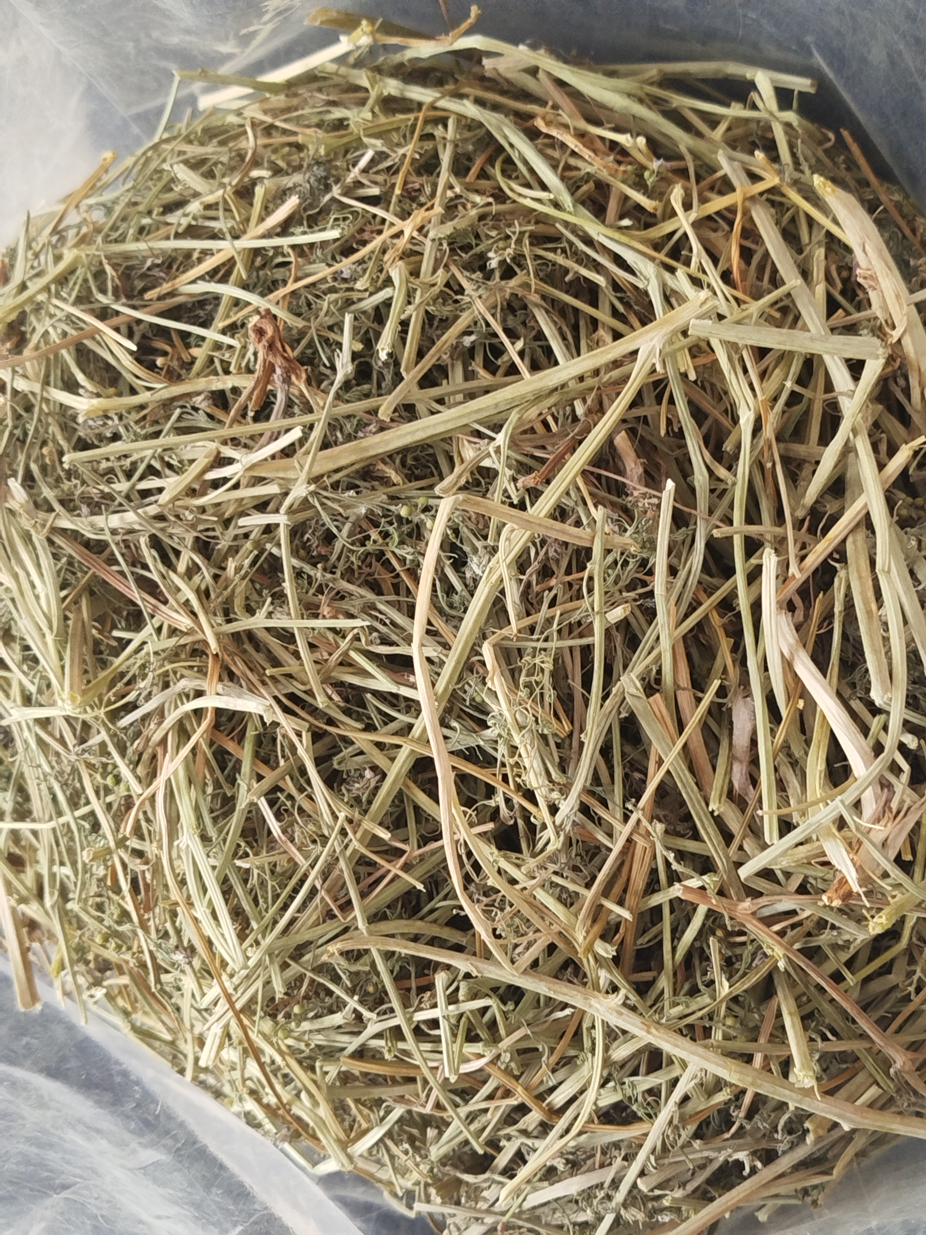 گیاه شاتره
